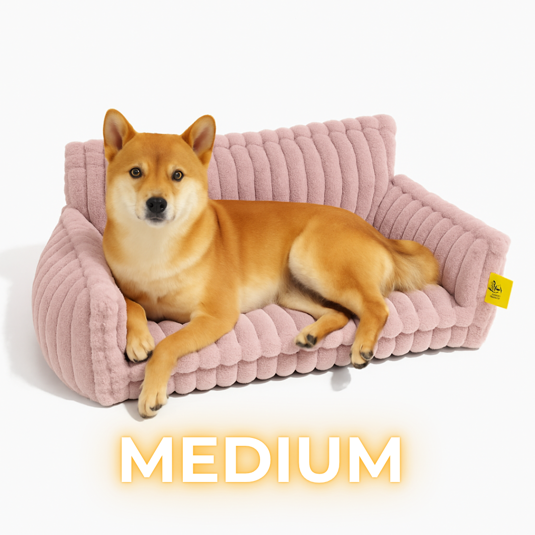 DreamNest Orthopedic Dog Bed - Square Plush