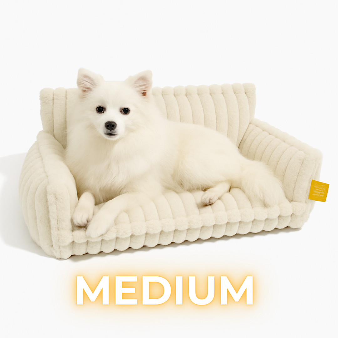 DreamNest Orthopedic Dog Bed - Square Plush