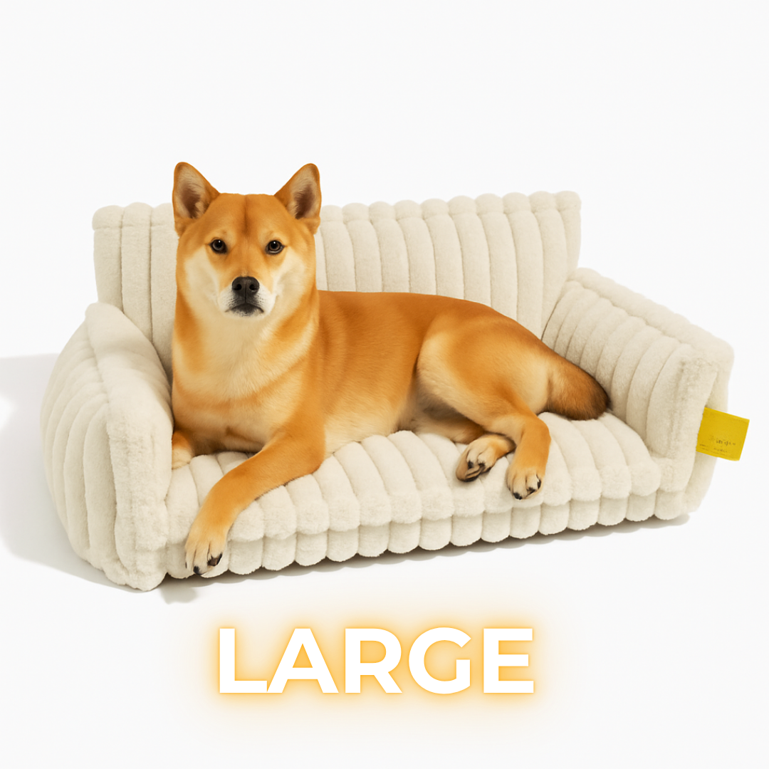 DreamNest Orthopedic Dog Bed - Square Plush