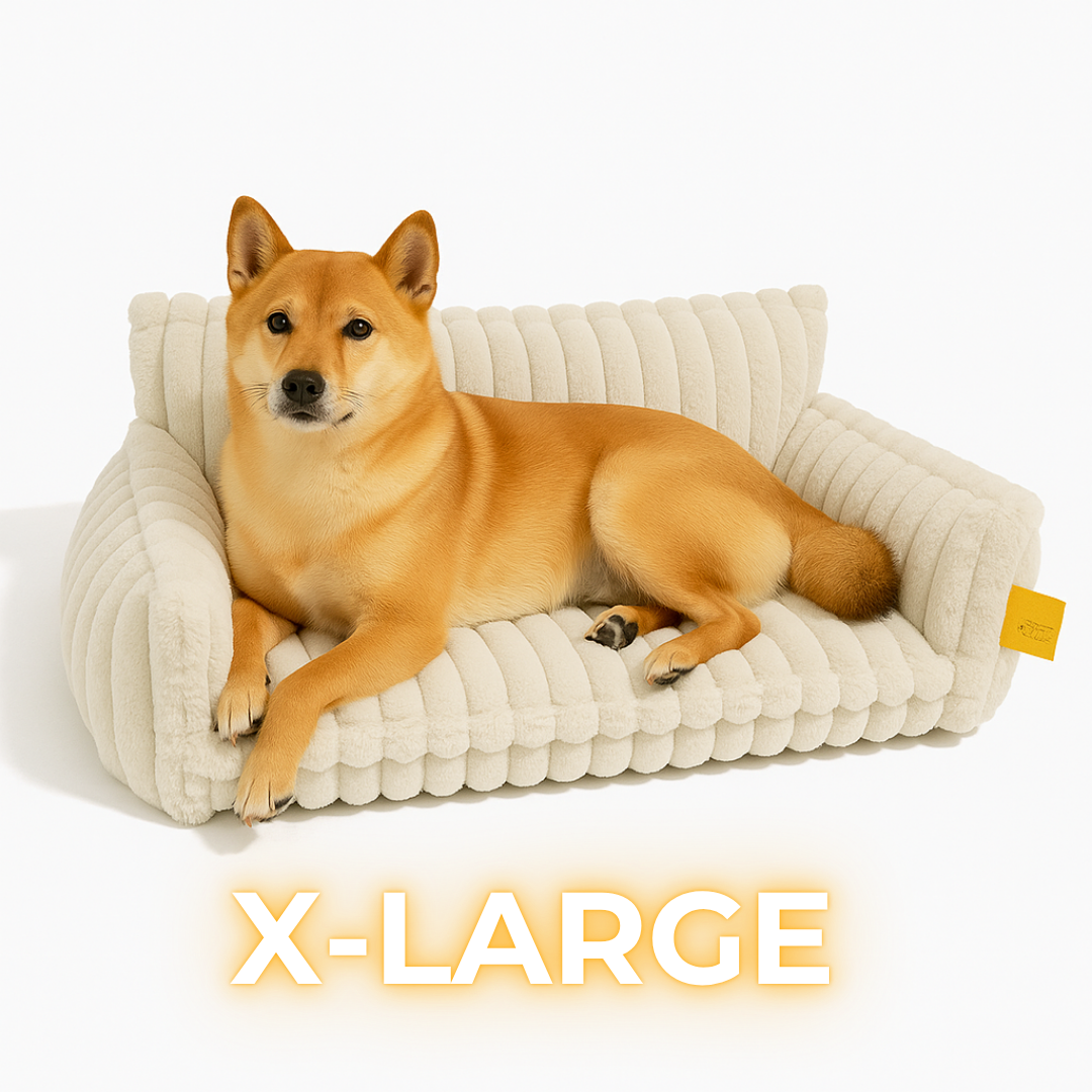 DreamNest Orthopedic Dog Bed - Square Plush