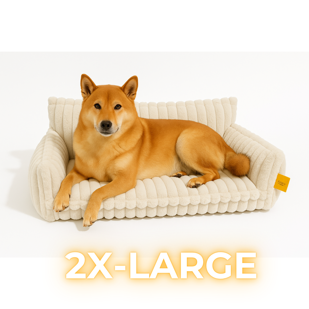 DreamNest Orthopedic Dog Bed - Square Plush