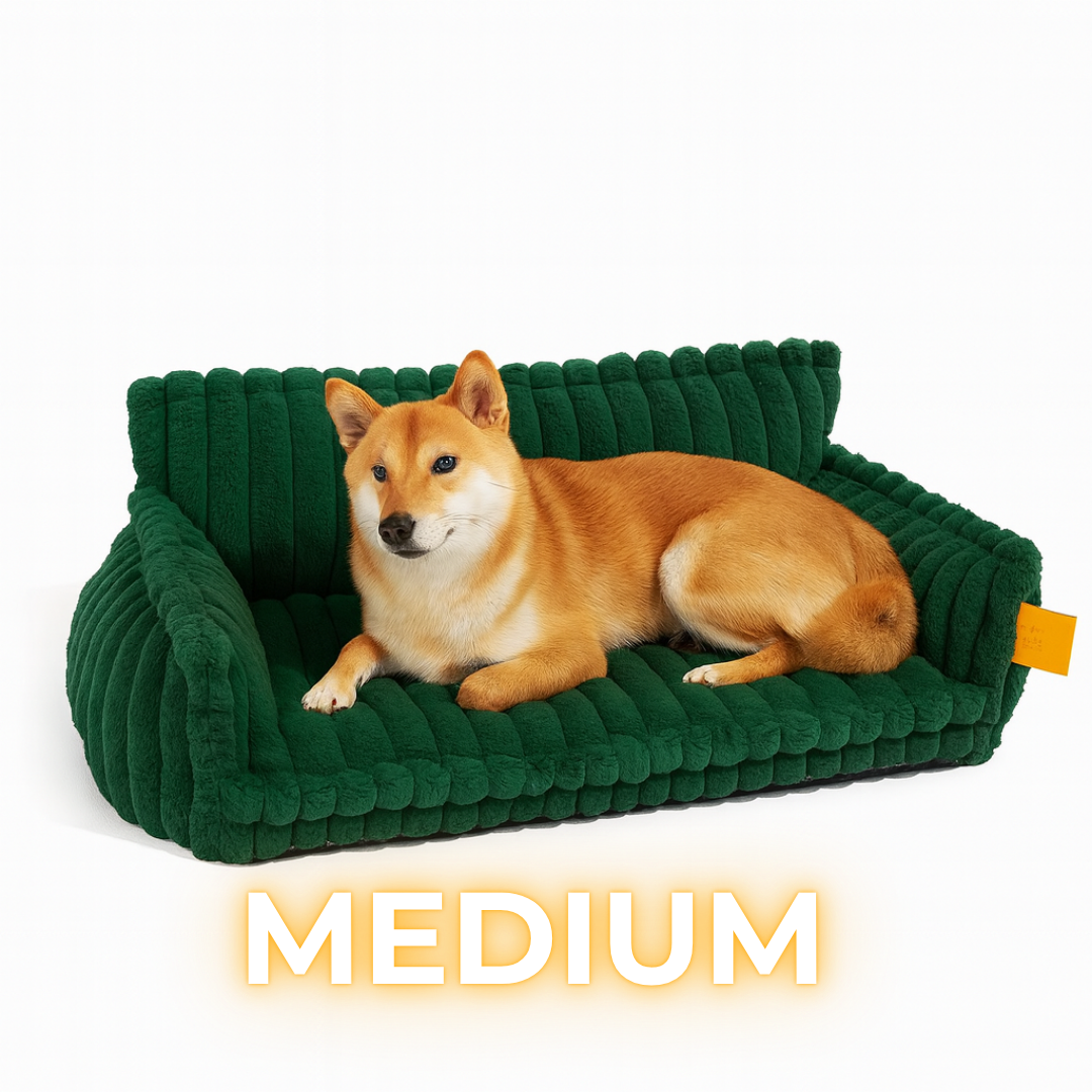 DreamNest Orthopedic Dog Bed - Square Plush