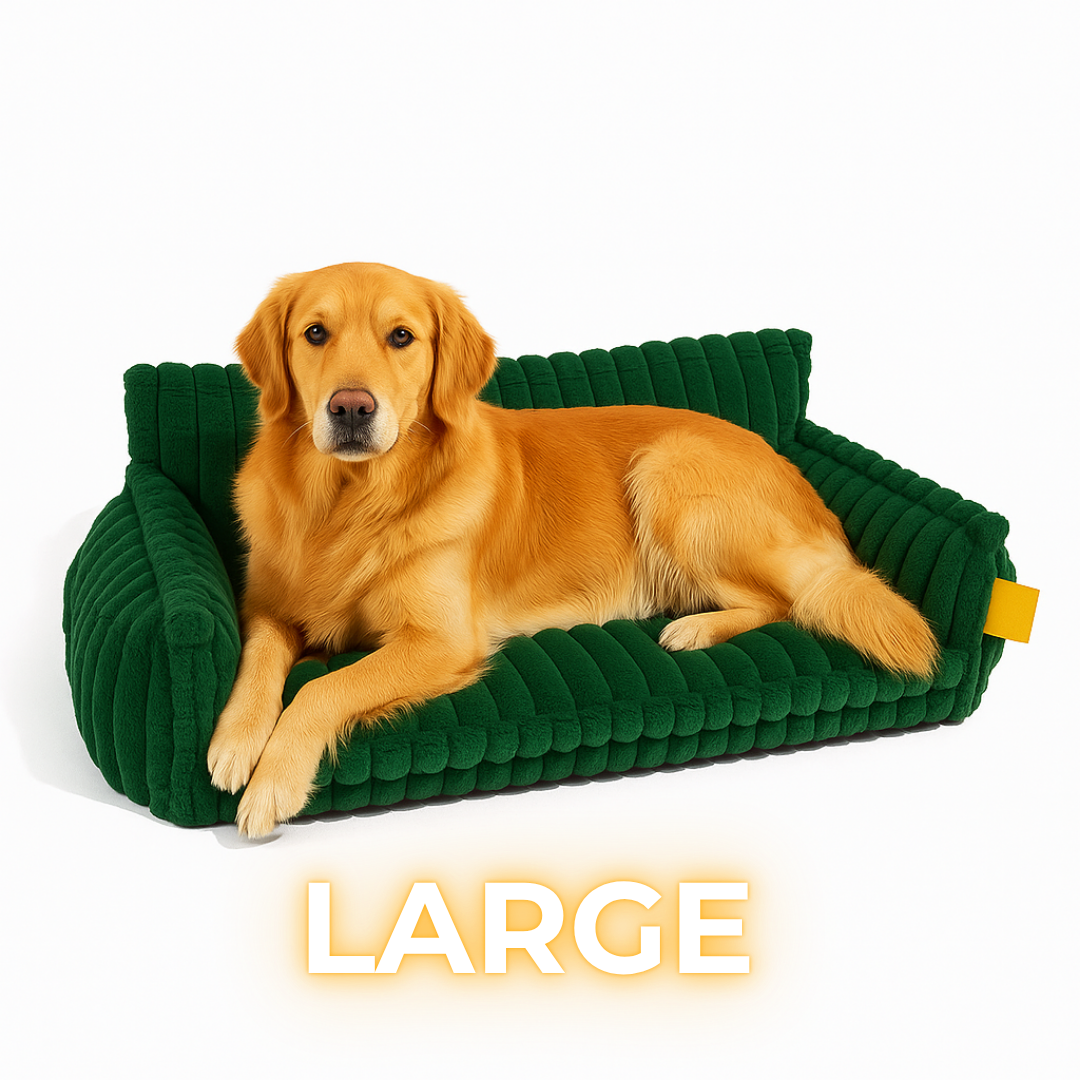 DreamNest Orthopedic Dog Bed - Square Plush