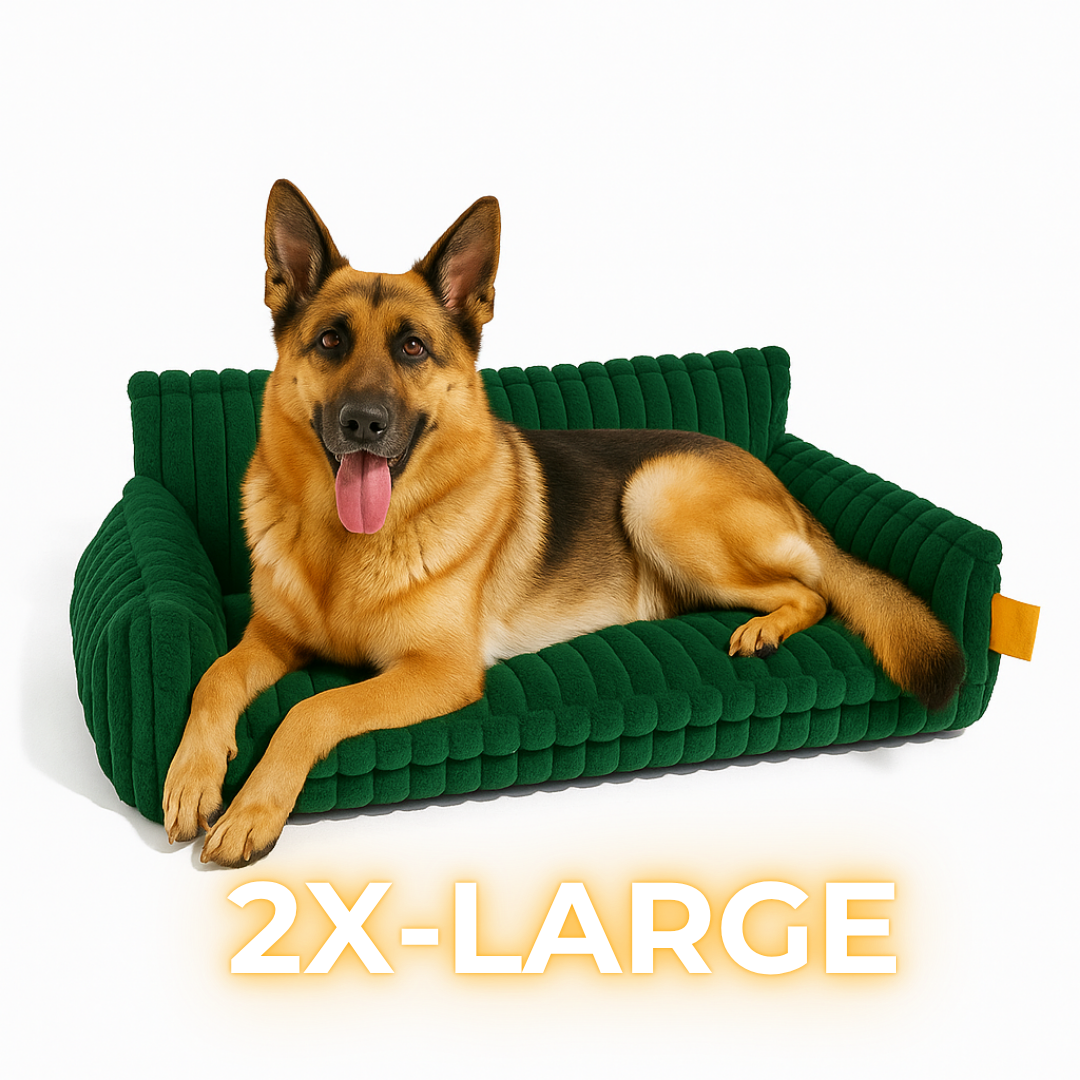DreamNest Orthopedic Dog Bed - Square Plush