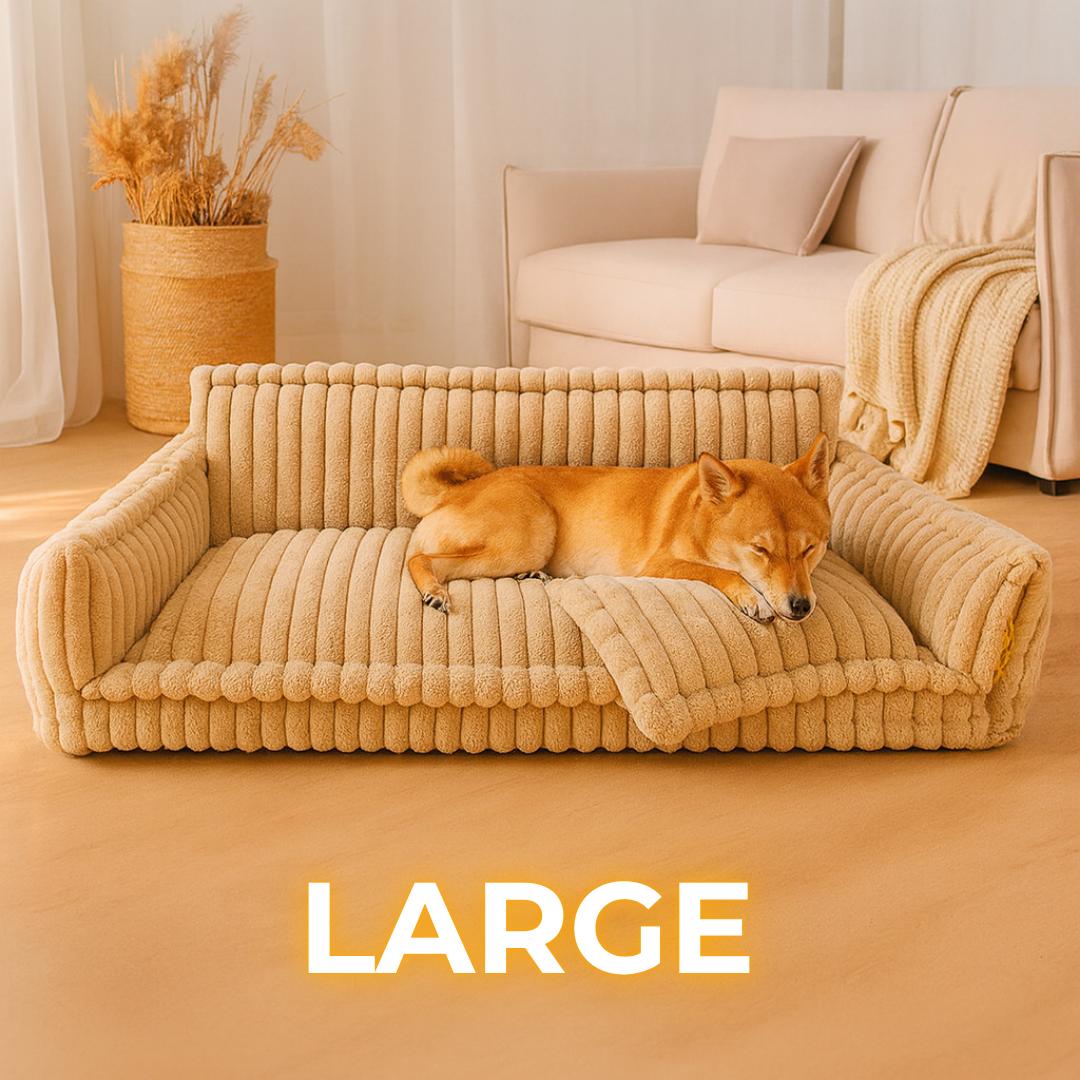 DreamNest Orthopedic Dog Bed - Square Plush