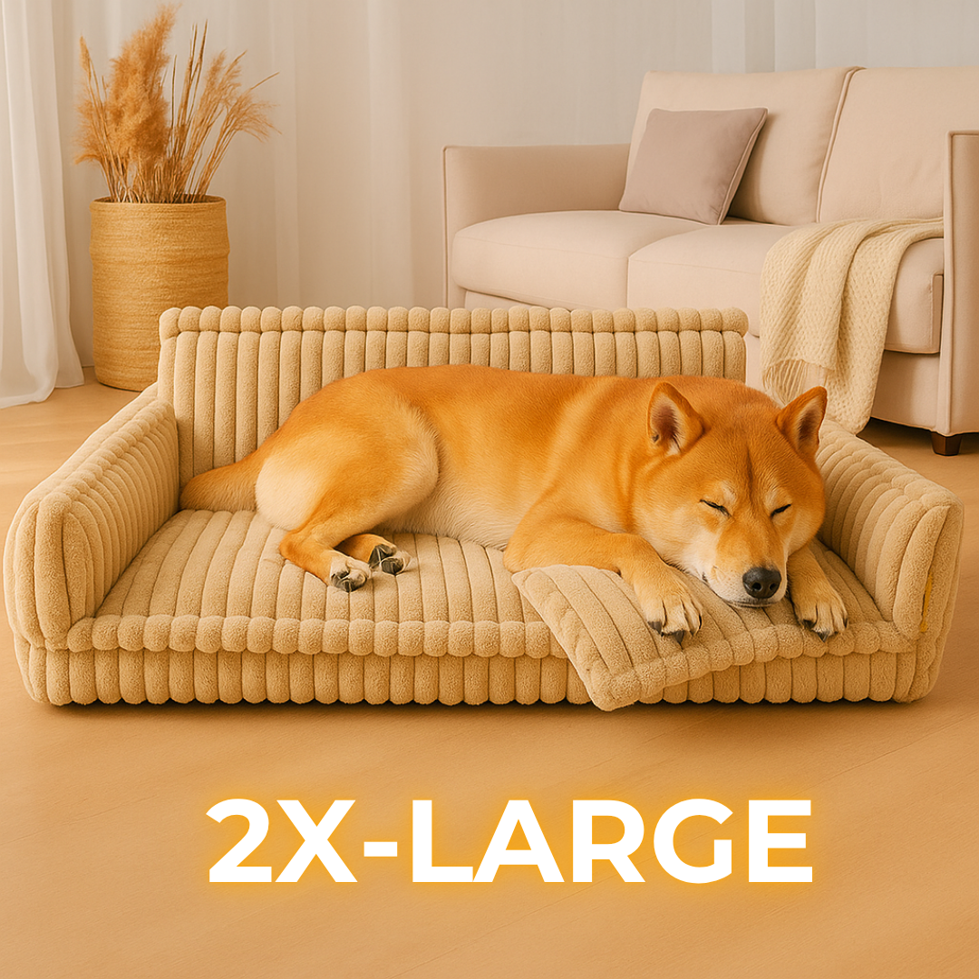 DreamNest Orthopedic Dog Bed - Square Plush