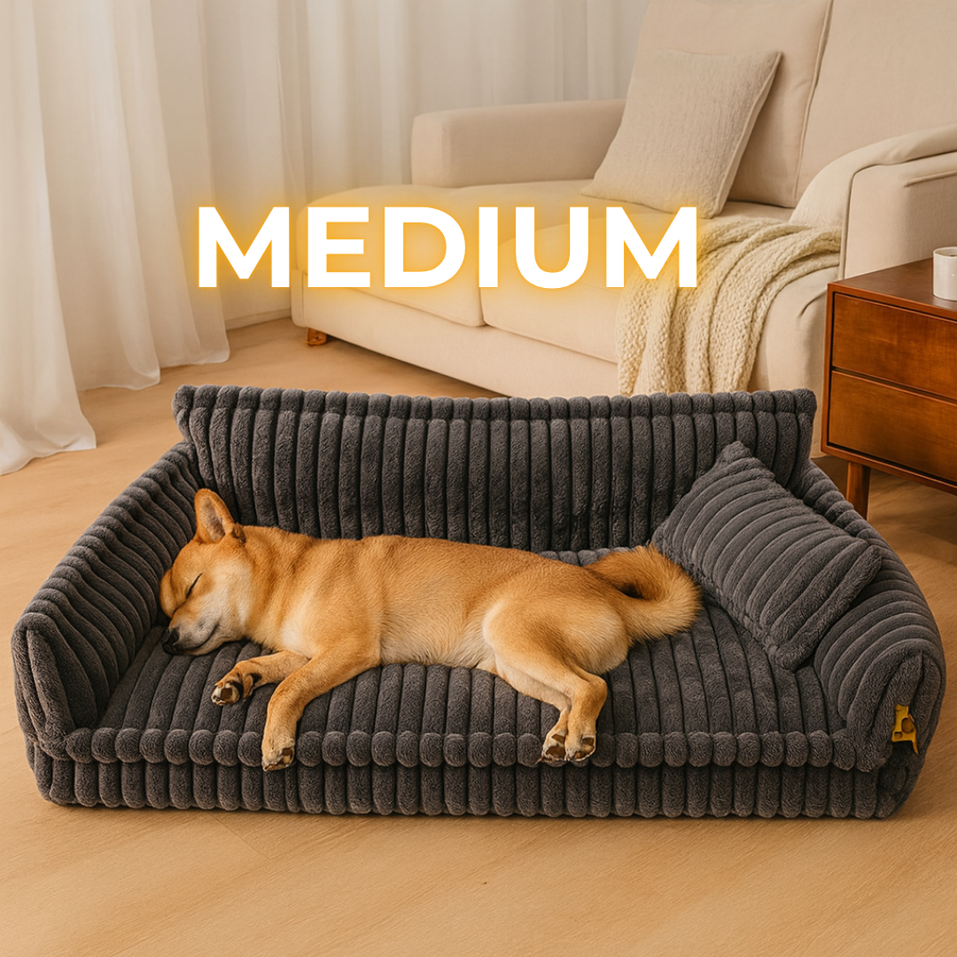 DreamNest Orthopedic Dog Bed - Square Plush