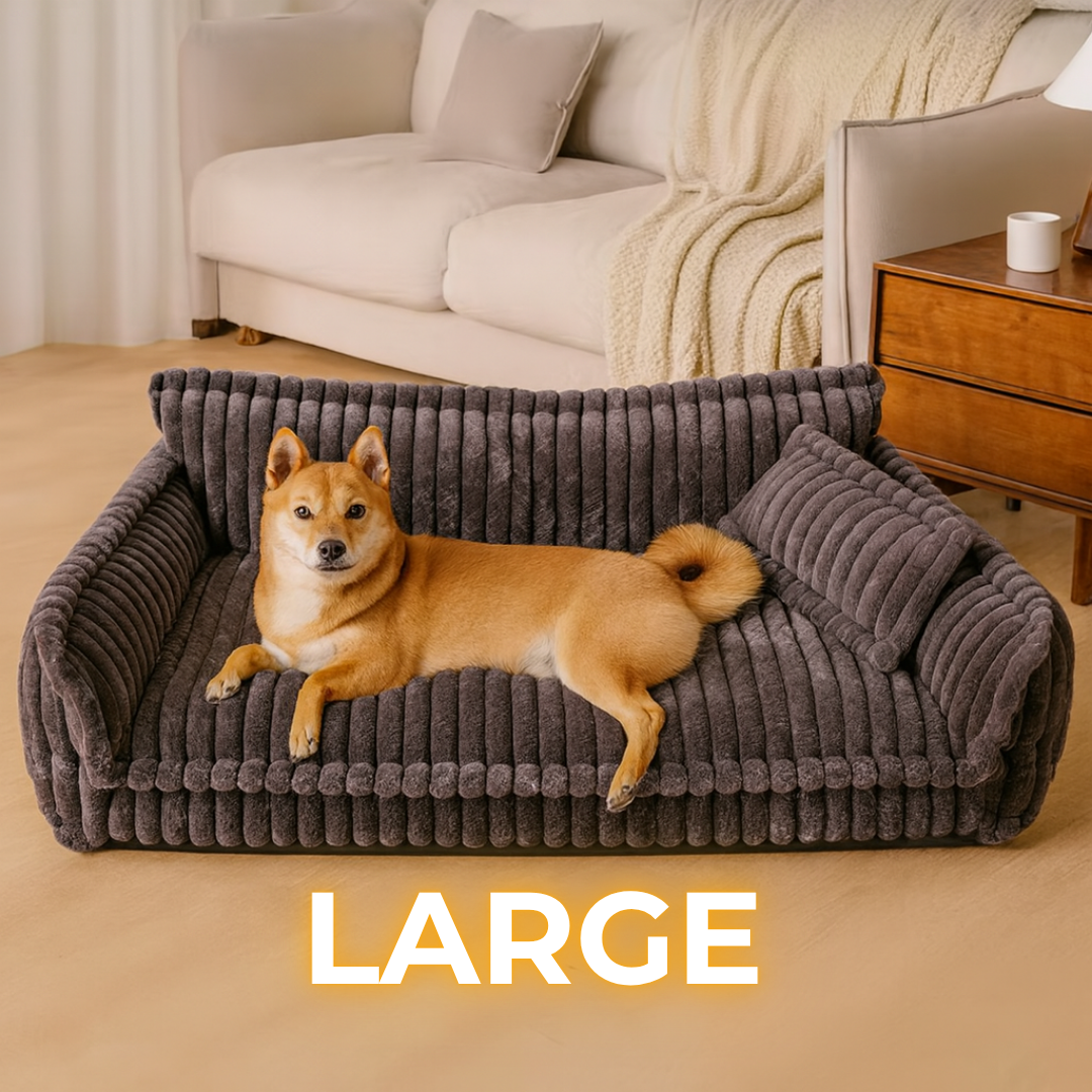 DreamNest Orthopedic Dog Bed - Square Plush