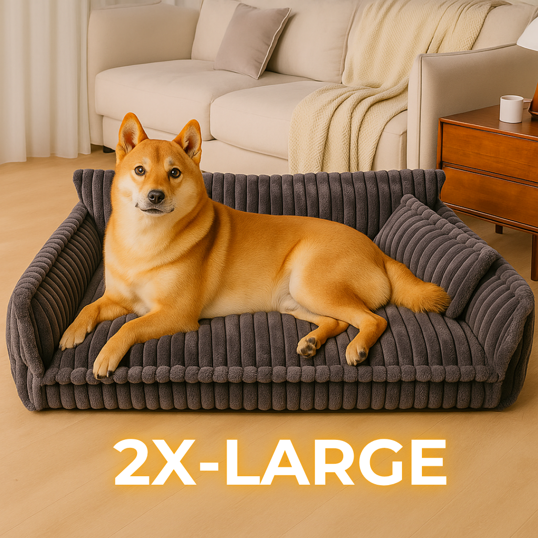 DreamNest Orthopedic Dog Bed - Square Plush