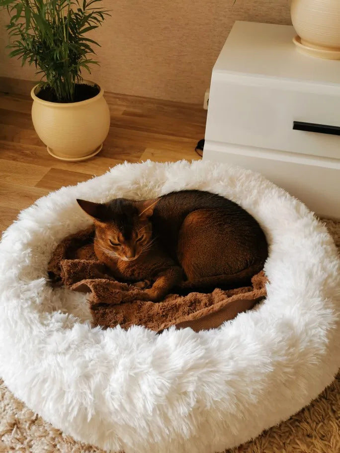 TheyWantFluffy™ Furry Friend Beds