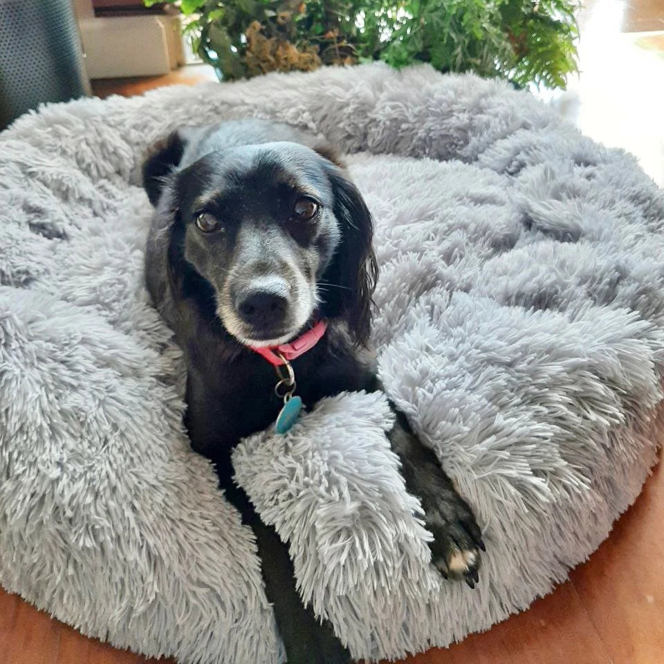 TheyWantFluffy™ Furry Friend Beds