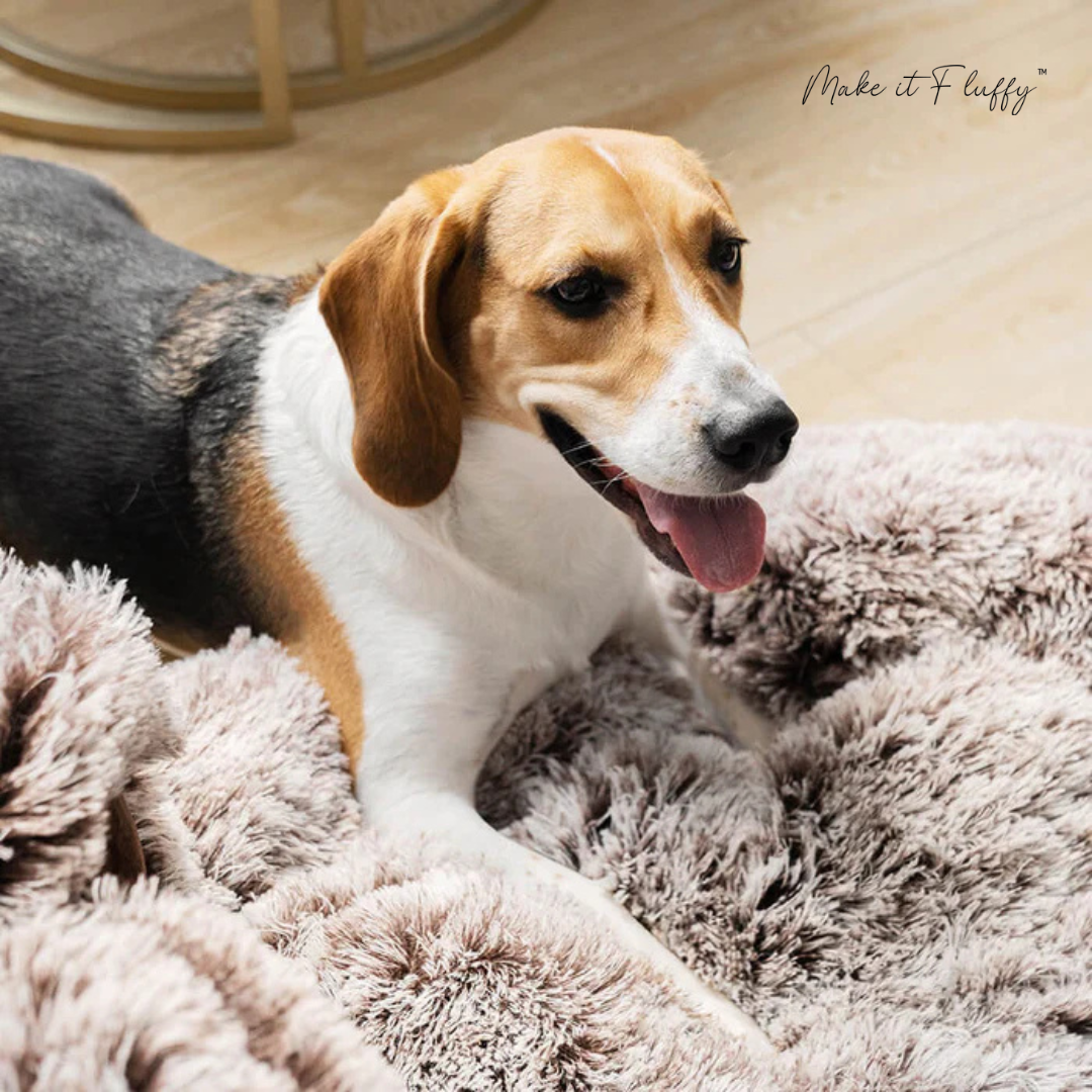 Large Round Dog Bed – Fuzzy Paw