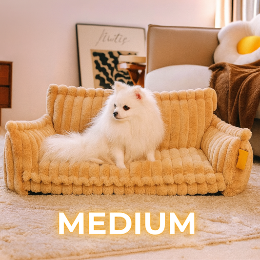 DreamNest Orthopedic Dog Bed - Square Plush