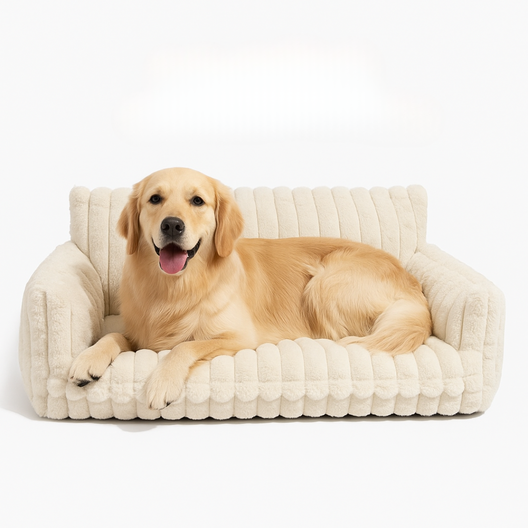DreamNest Orthopedic Pet Bed - Square Plush