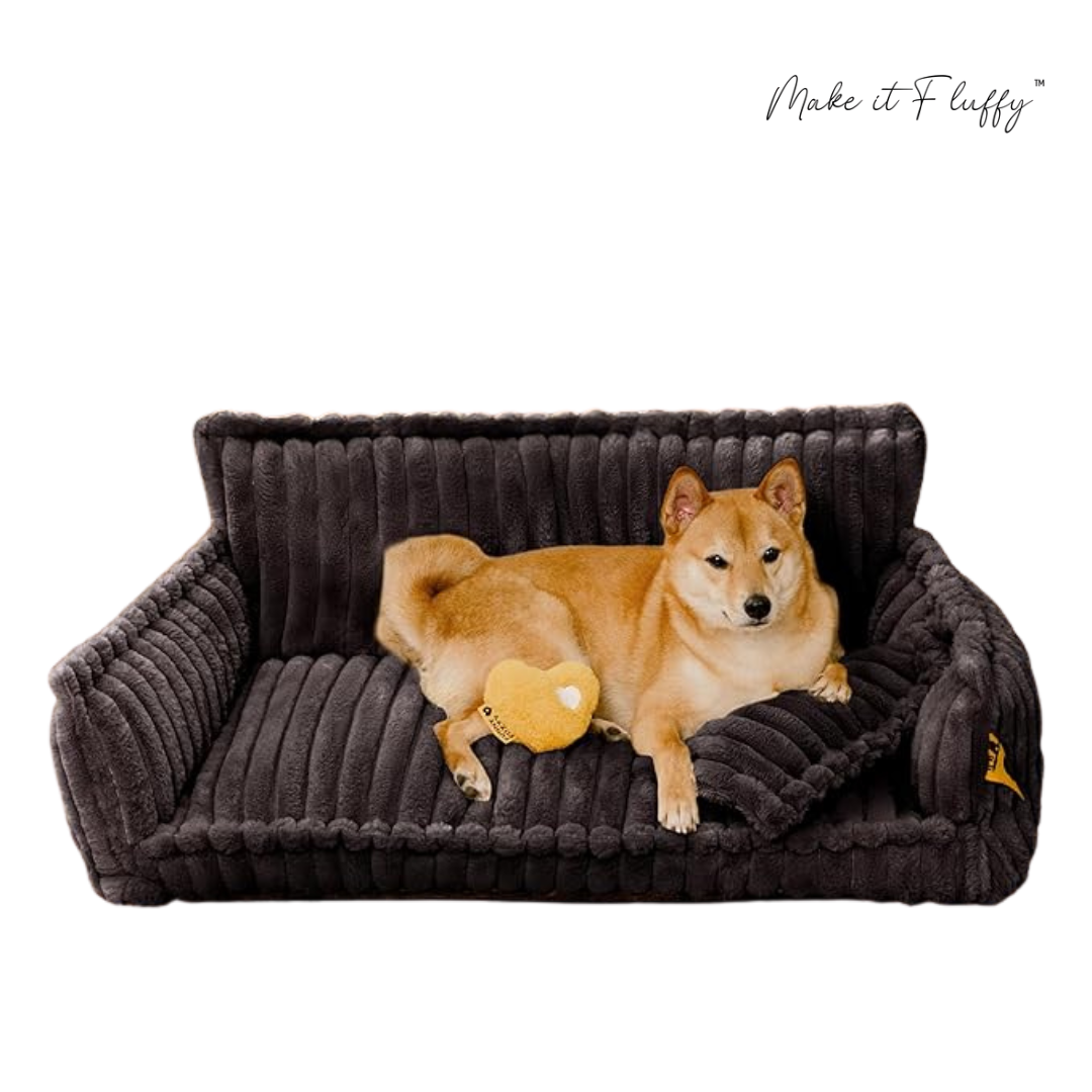 DreamNest Orthopedic Pet Bed - Square Plush