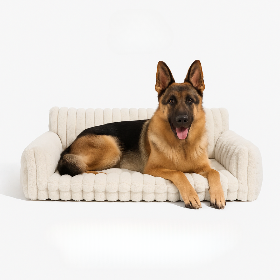 DreamNest Orthopedic Pet Bed - Square Plush