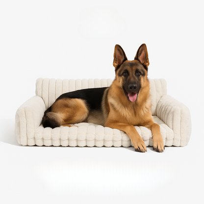 DreamNest Orthopedic Pet Bed - Square Plush