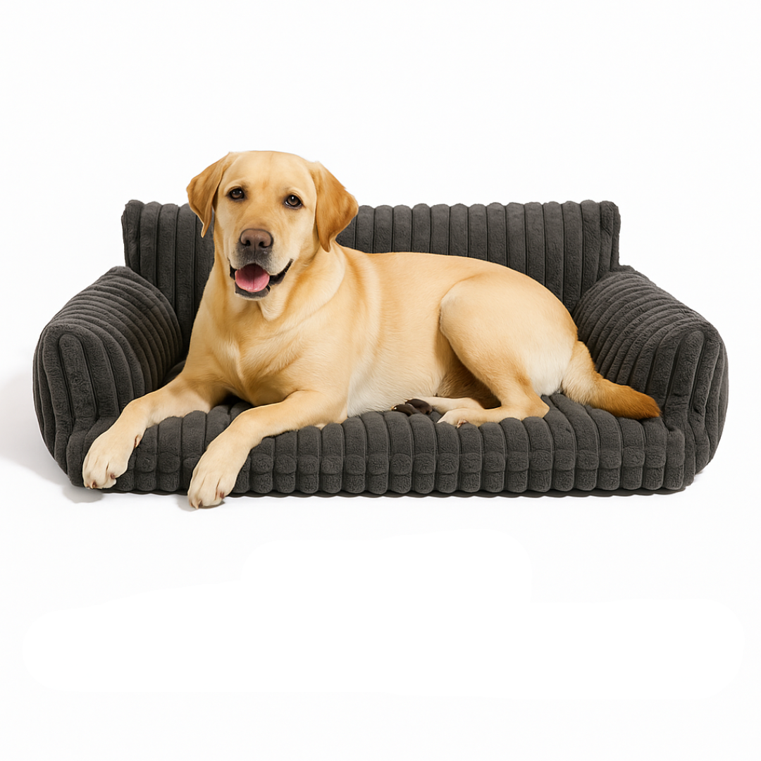 DreamNest Orthopedic Pet Bed - Square Plush