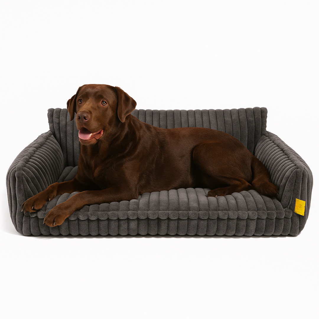 DreamNest Orthopedic Pet Bed - Square Plush