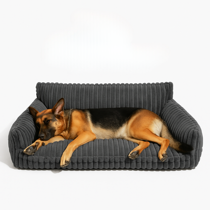 DreamNest Orthopedic Pet Bed - Square Plush