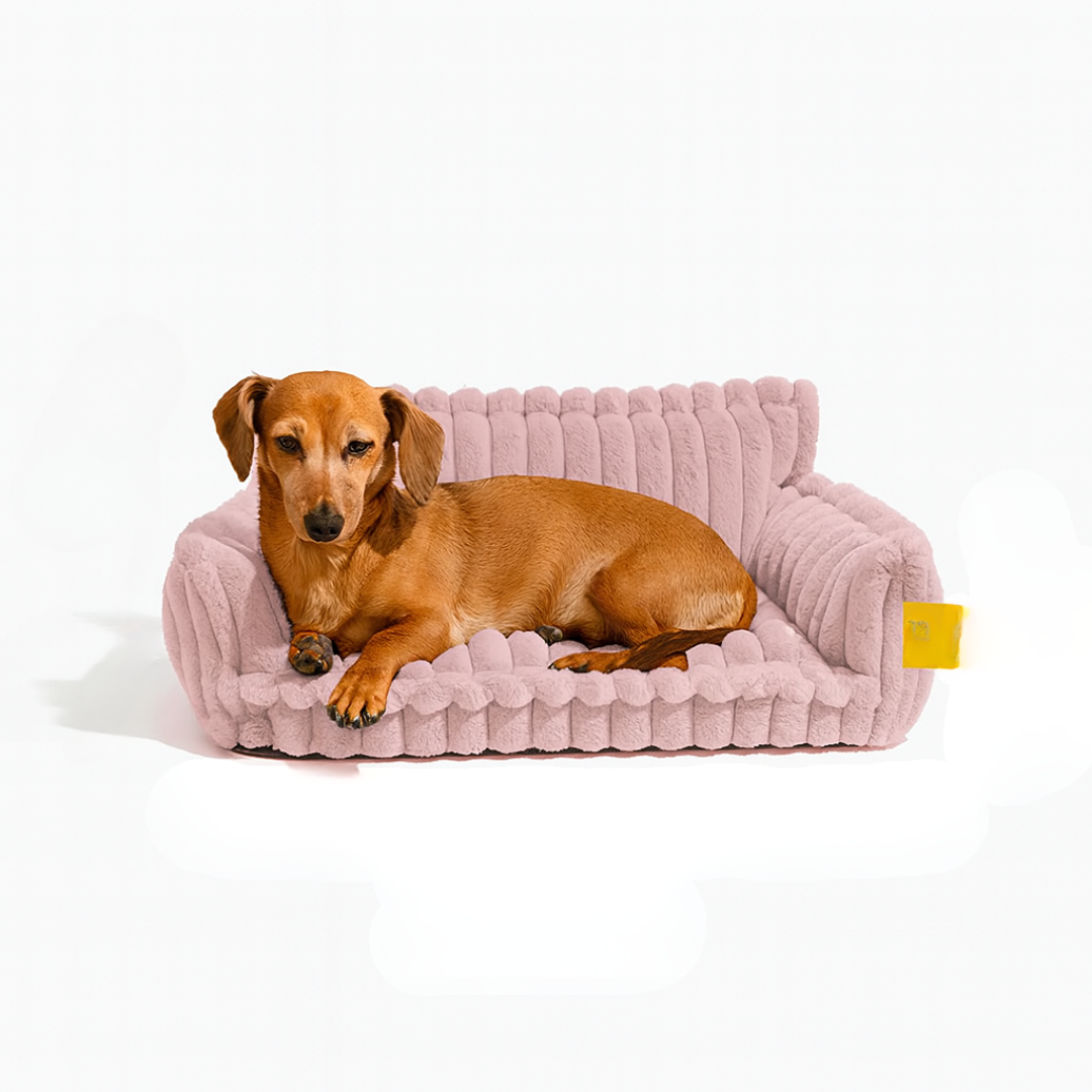 DreamNest Orthopedic Pet Bed - Square Plush