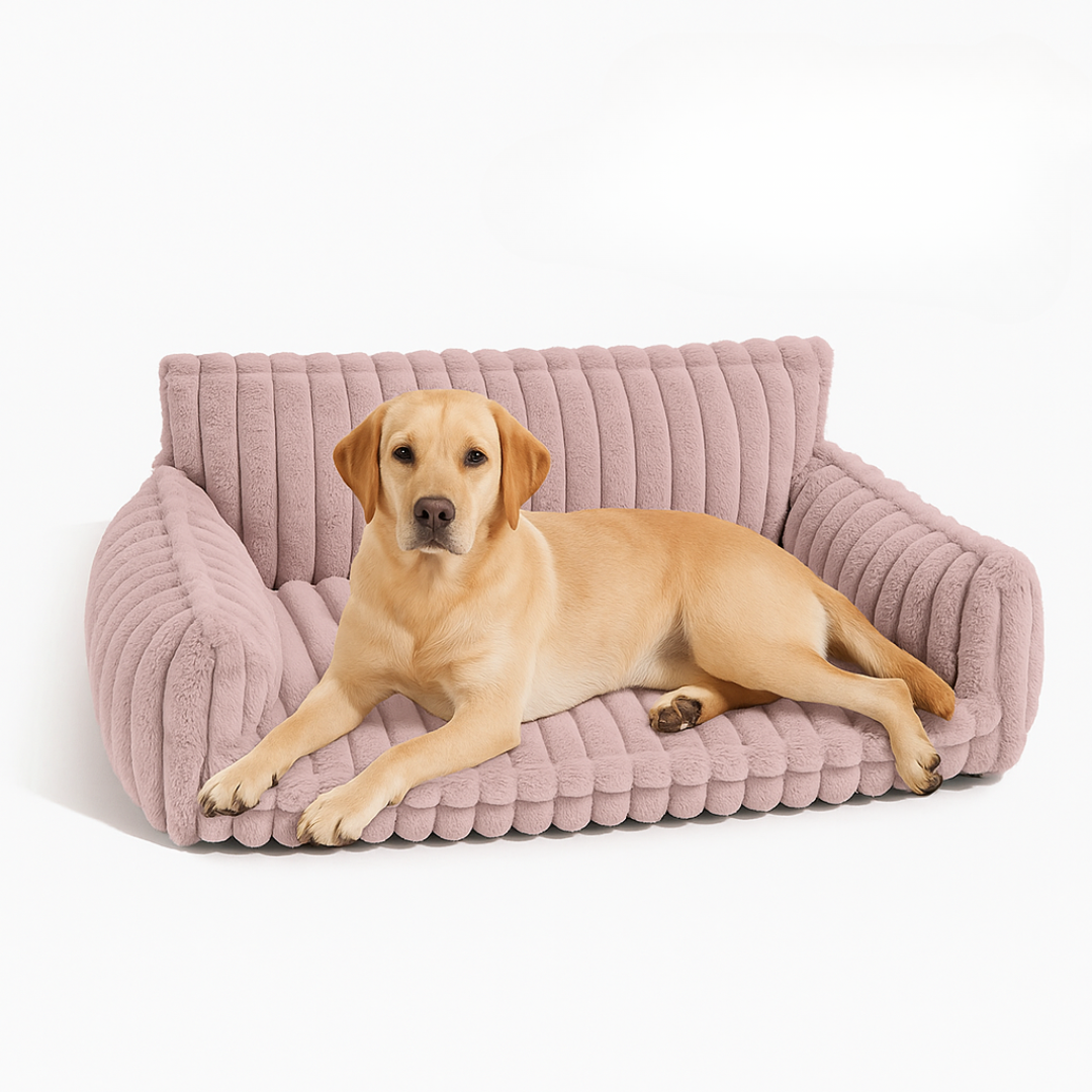DreamNest Orthopedic Pet Bed - Square Plush