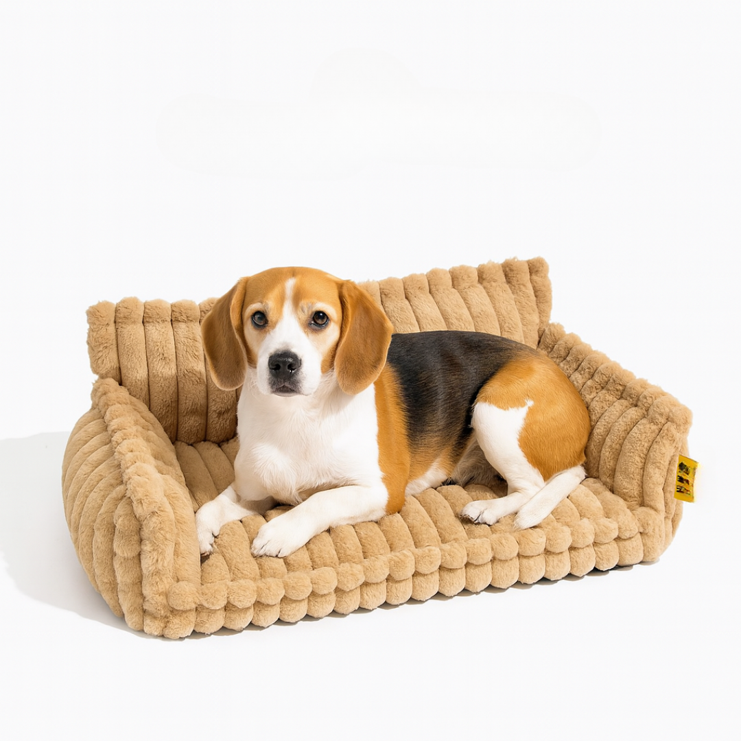 DreamNest Orthopedic Pet Bed - Square Plush