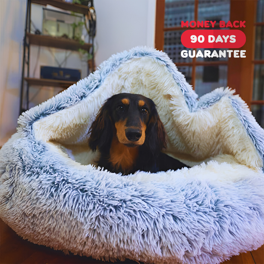 Anti-Anxiety Pet Cave “Slumber Sphere”
