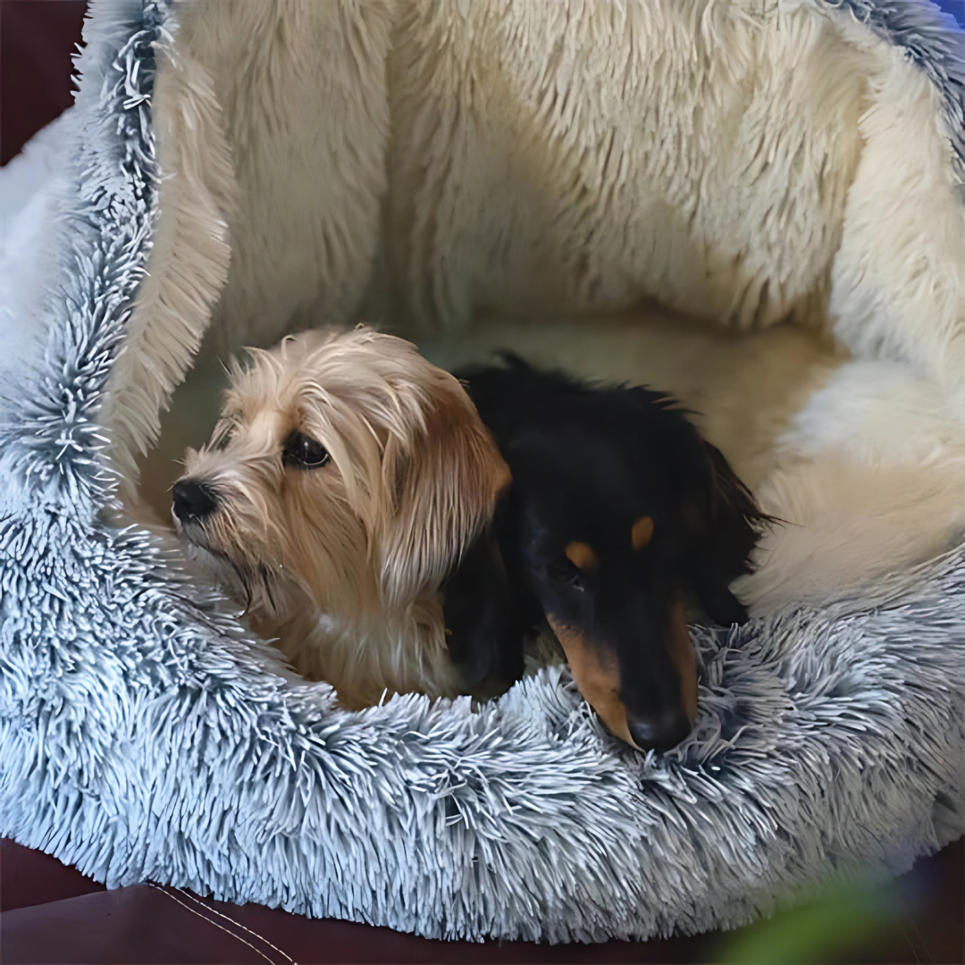 Anti-Anxiety Pet Cave “Slumber Sphere”