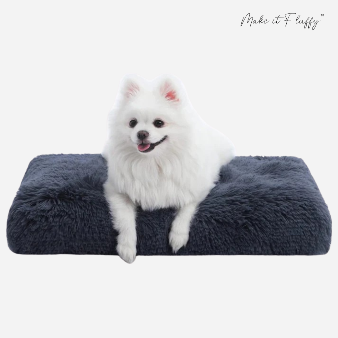 DreamNest Orthopedic Dog Bed - Square Plush