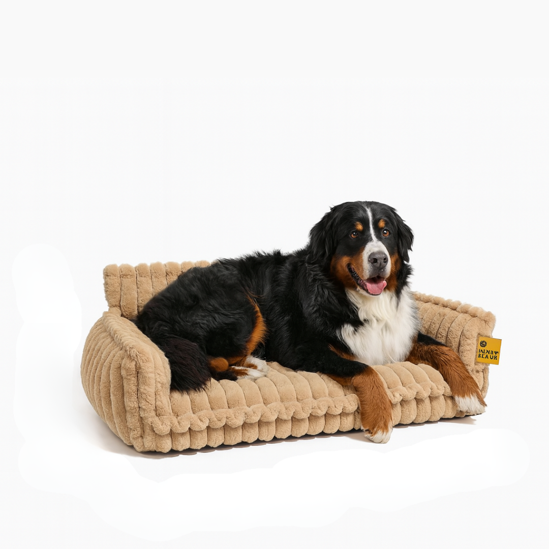 DreamNest Orthopedic Pet Bed - Square Plush