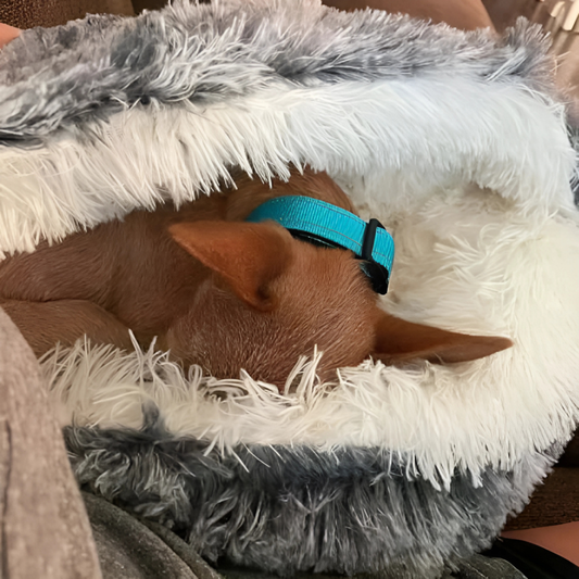 DreamNest Pet Cave - Anti-Anxiety Cocoon