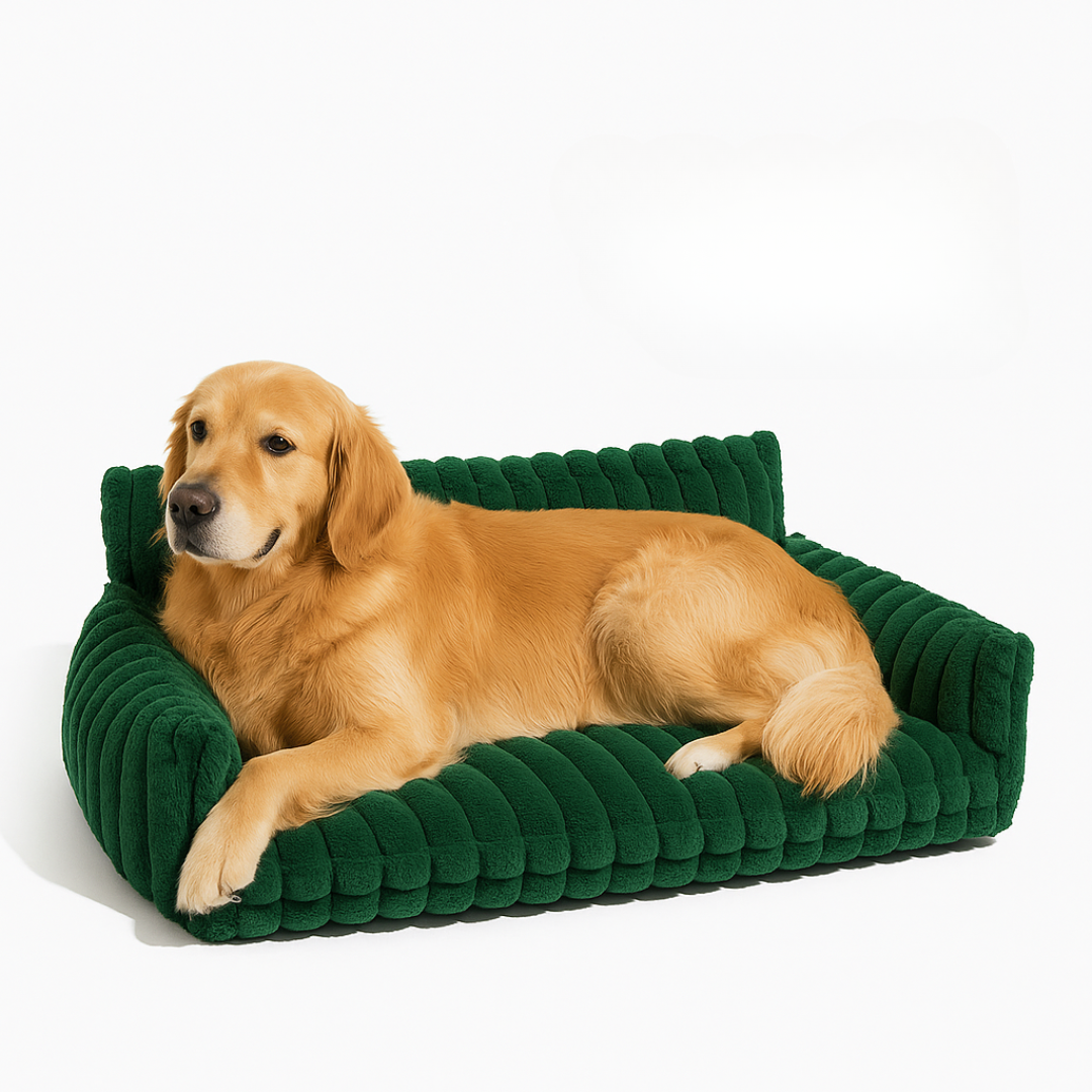 DreamNest Orthopedic Pet Bed - Square Plush