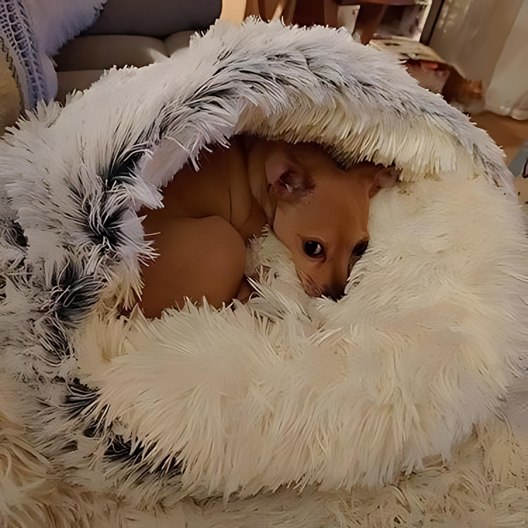 Anti-Anxiety Pet Cave “Slumber Sphere”