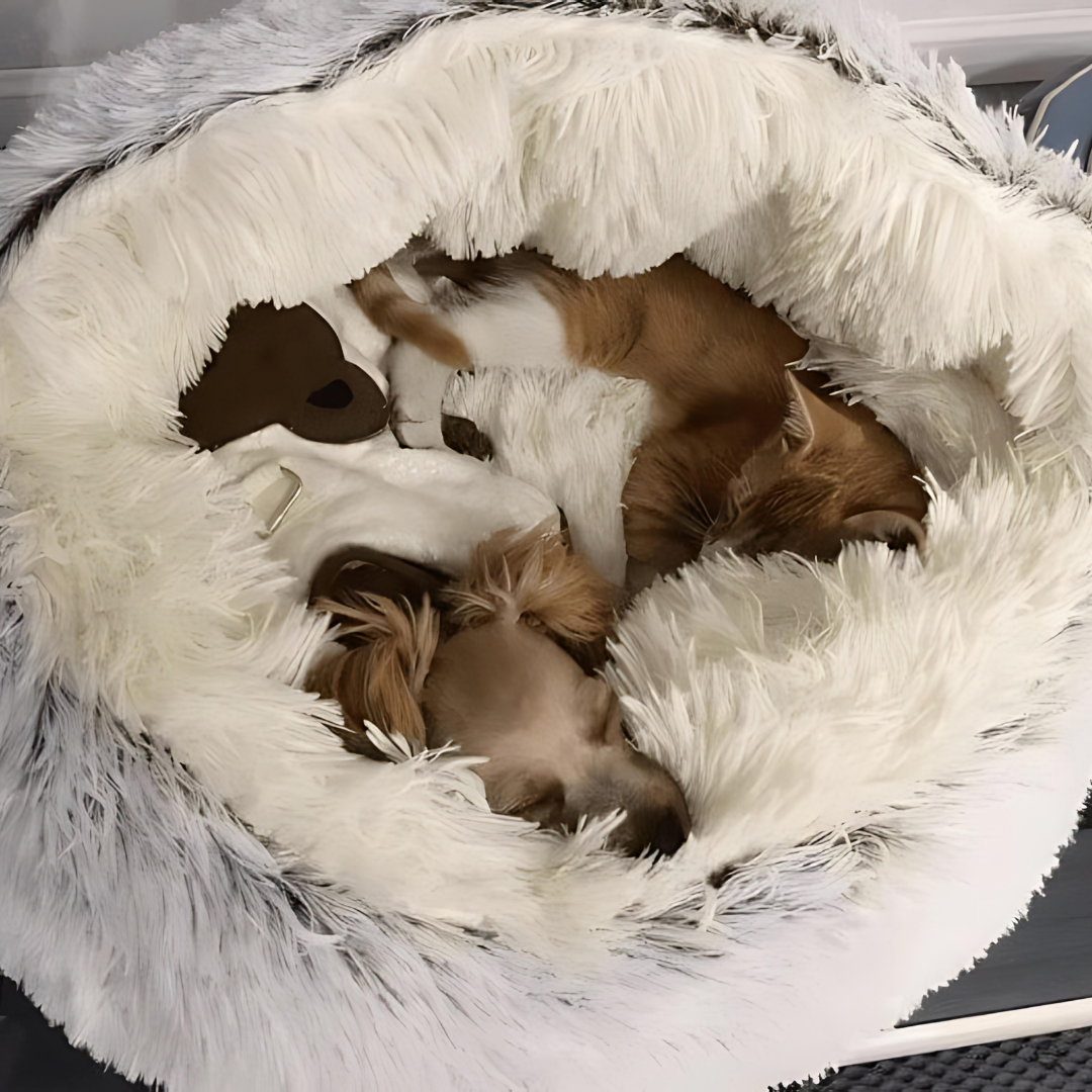 Anti-Anxiety Pet Cave “Slumber Sphere”
