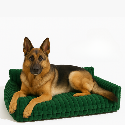 DreamNest Orthopedic Pet Bed - Square Plush