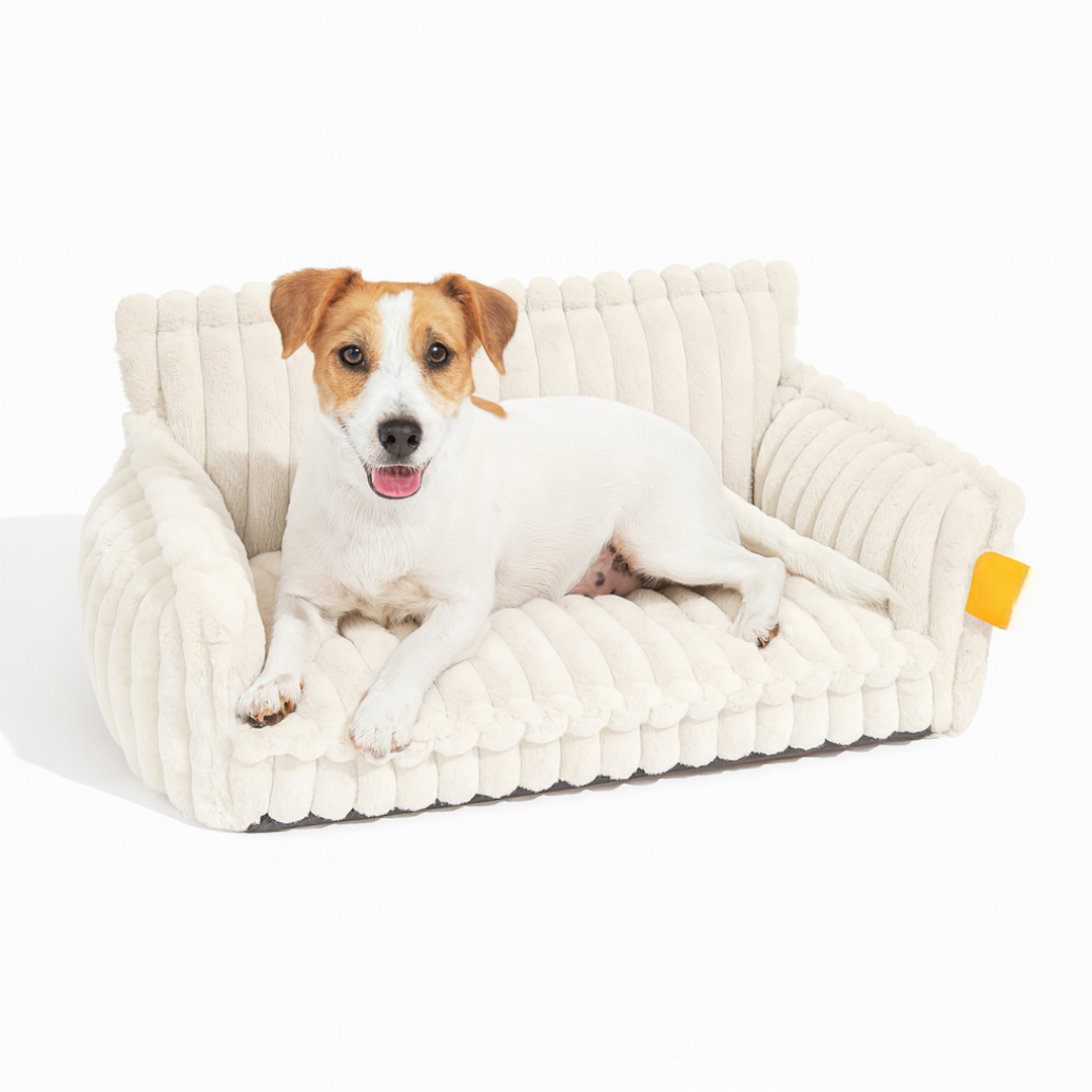 DreamNest Orthopedic Pet Bed - Square Plush