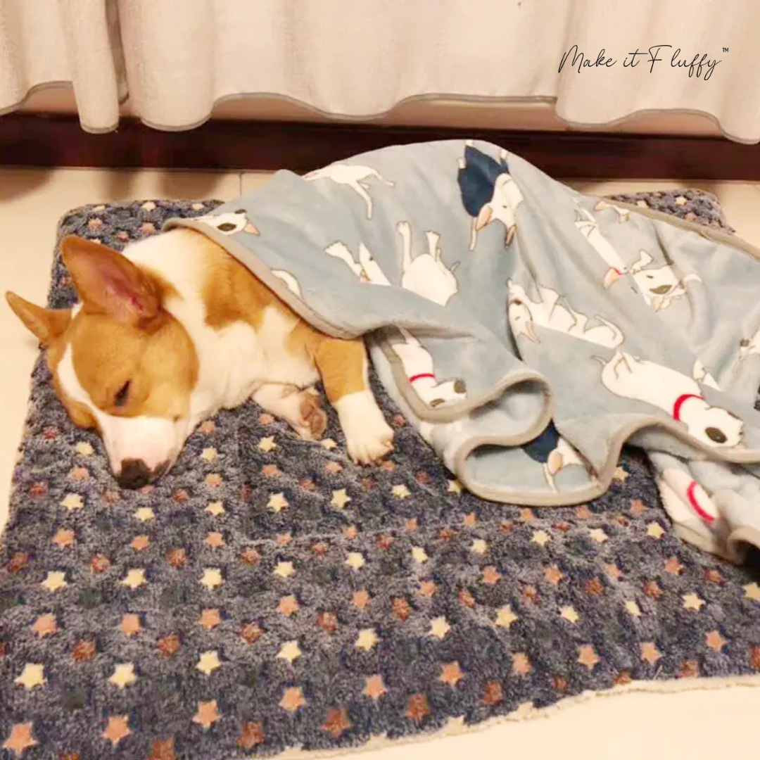 Cozy Calming Cat Blanket – Soft Plush Pet Comfort Throw