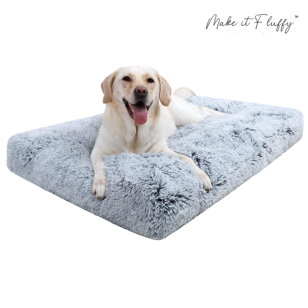 DreamNest Orthopedic Dog Bed - Square Plush