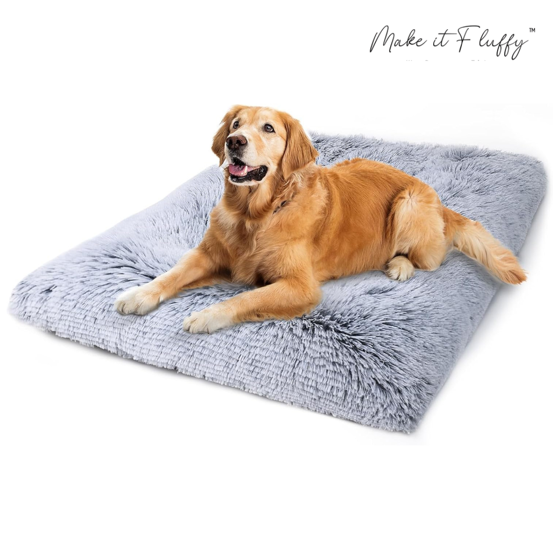 DreamNest Orthopedic Dog Bed - Square Plush