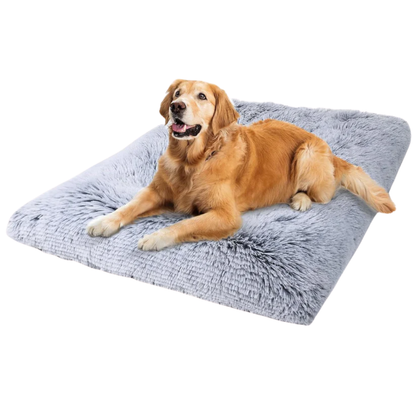 DreamNest Orthopedic Dog Bed - Square Plush