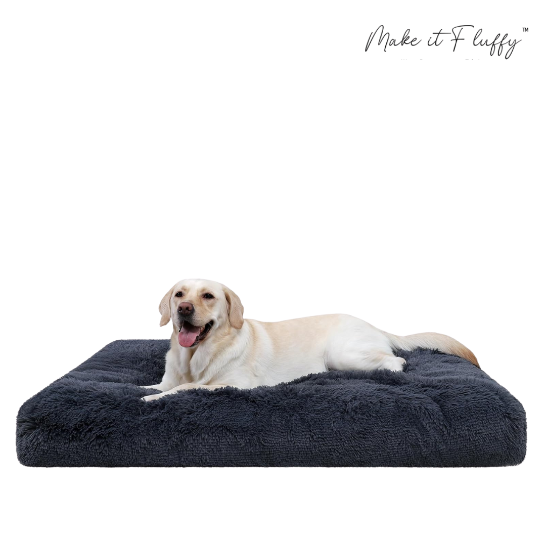 DreamNest Orthopedic Dog Bed - Square Plush