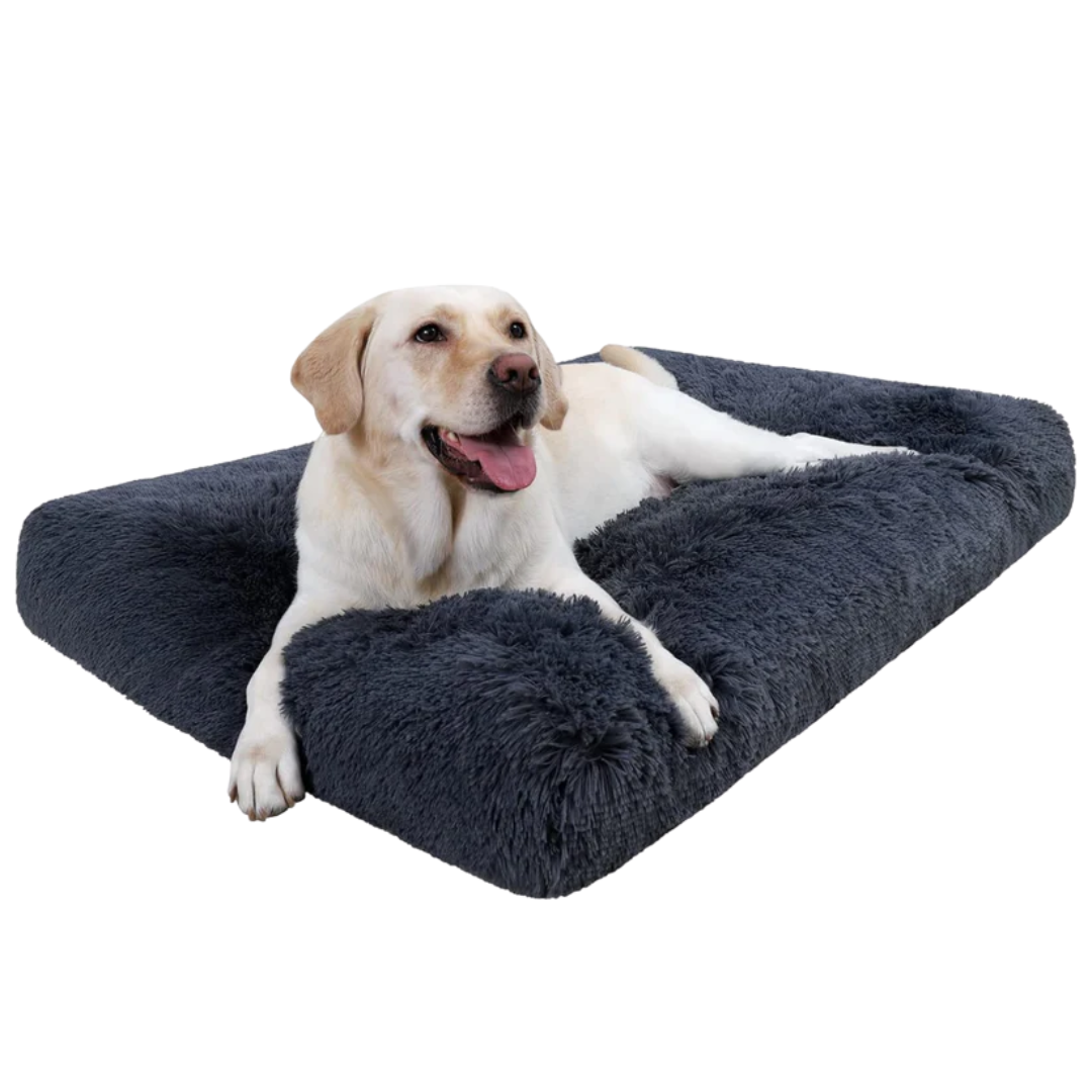 DreamNest Orthopedic Dog Bed - Square Plush
