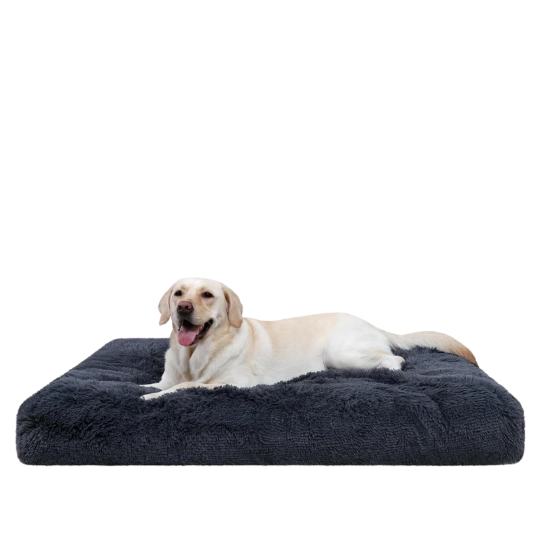 DreamNest Orthopedic Dog Bed - Square Plush