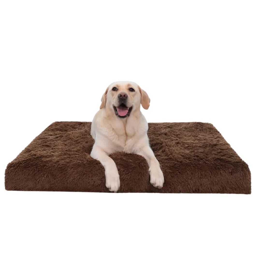 DreamNest Orthopedic Dog Bed - Square Plush