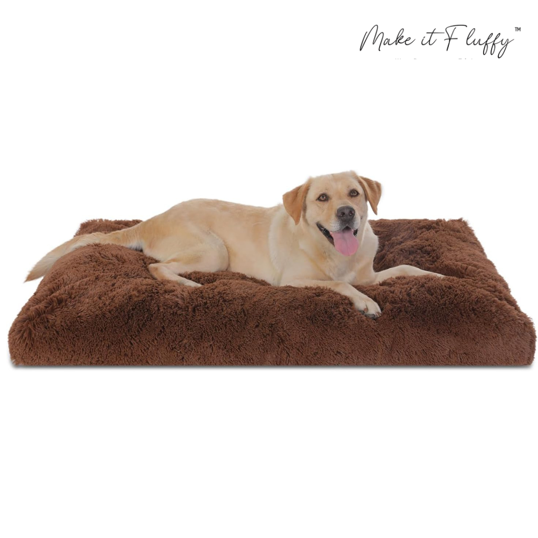 DreamNest Orthopedic Dog Bed - Square Plush