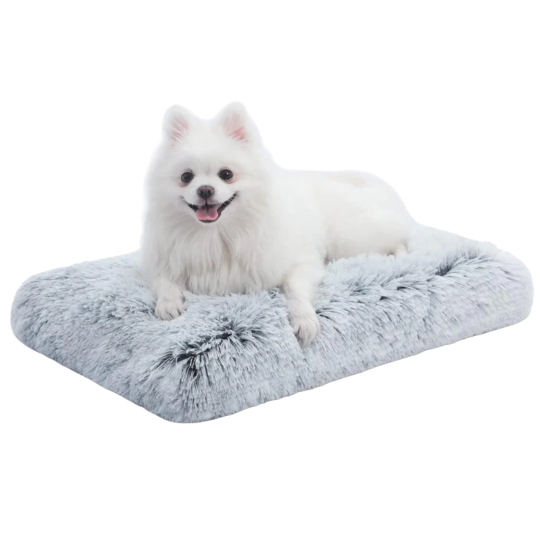 DreamNest Orthopedic Dog Bed - Square Plush