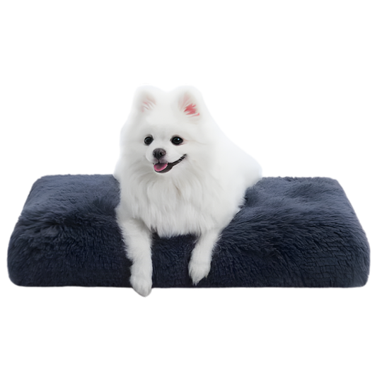 DreamNest Orthopedic Dog Bed - Square Plush