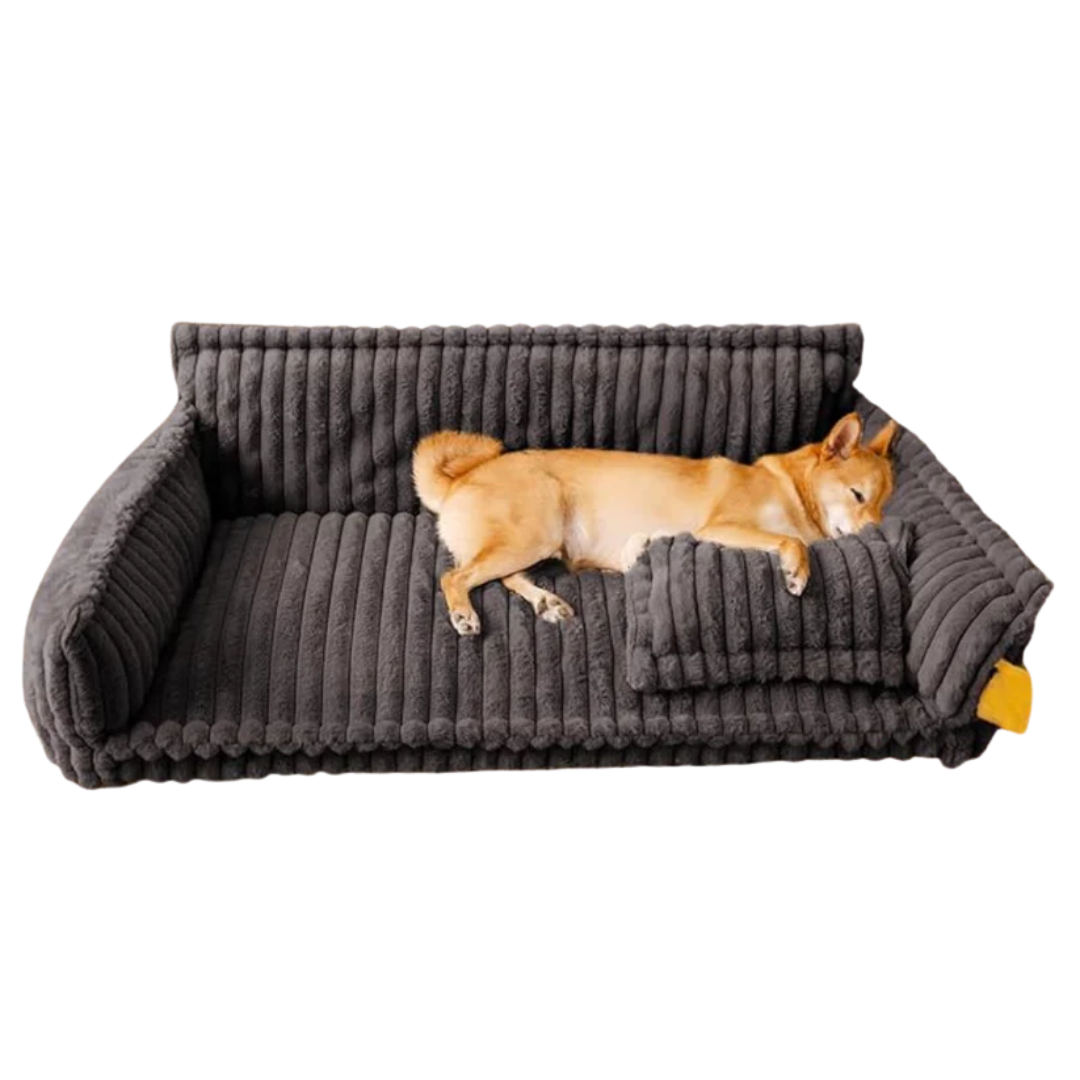 DreamNest Orthopedic Pet Bed - Square Plush