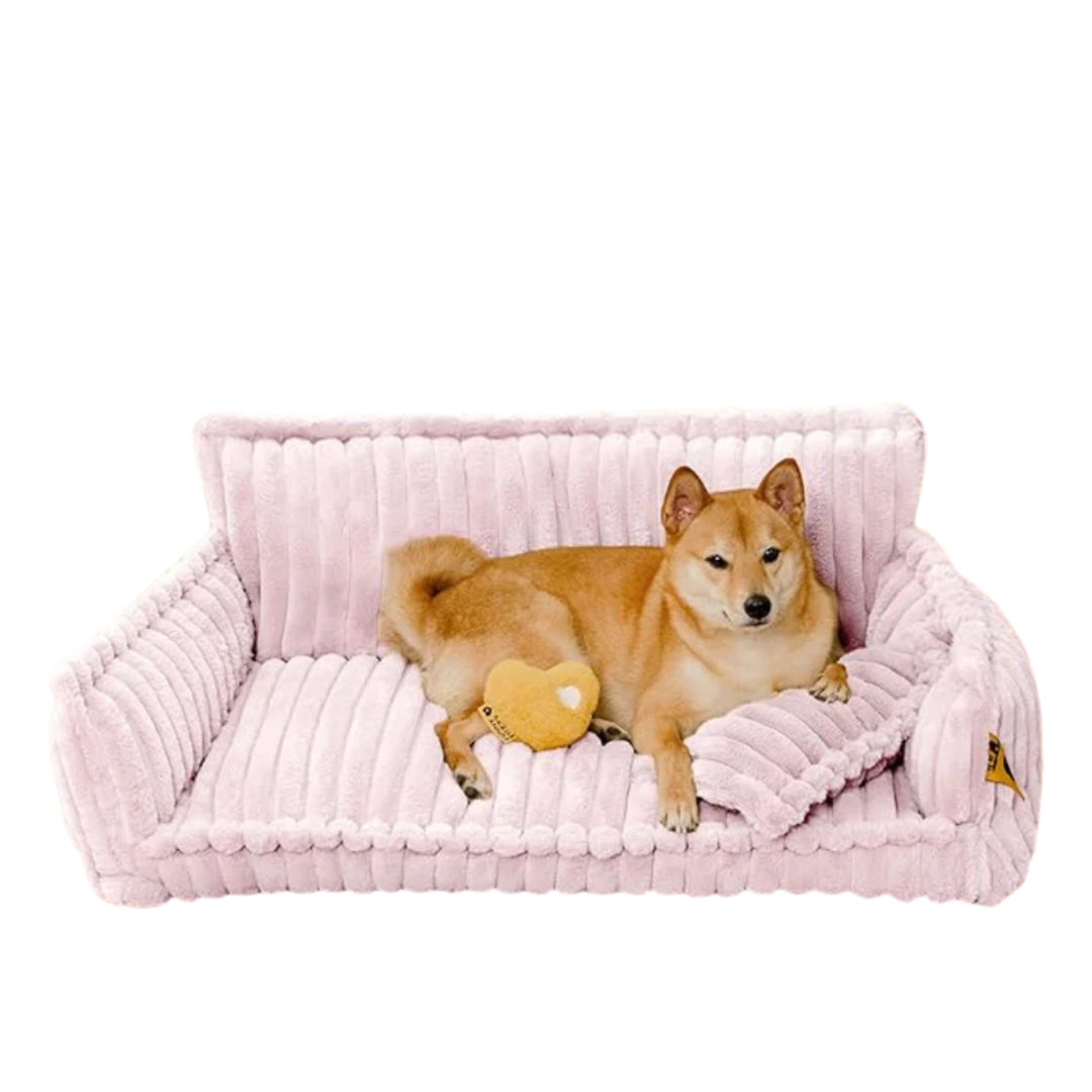 DreamNest Orthopedic Pet Bed - Square Plush